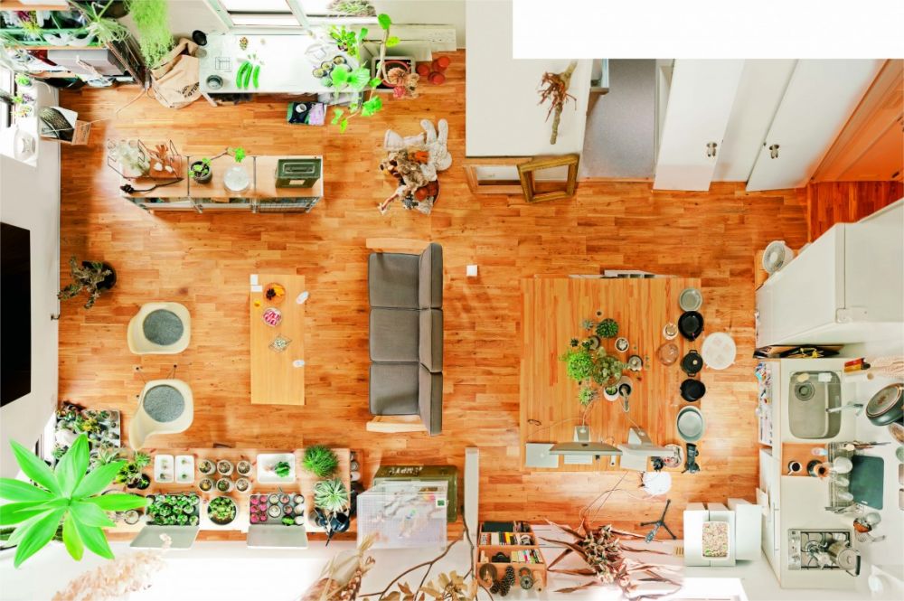 主色調中加入植物綠景,溫室小窩就此誕生!