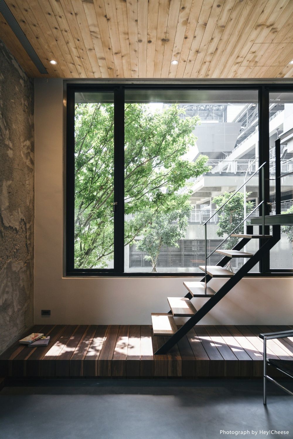 採光,灰色,樹屋,自然