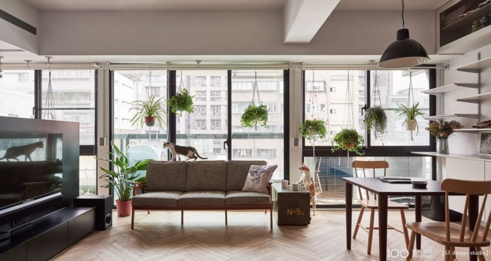 淨化空氣,家裡絕對要有這些!