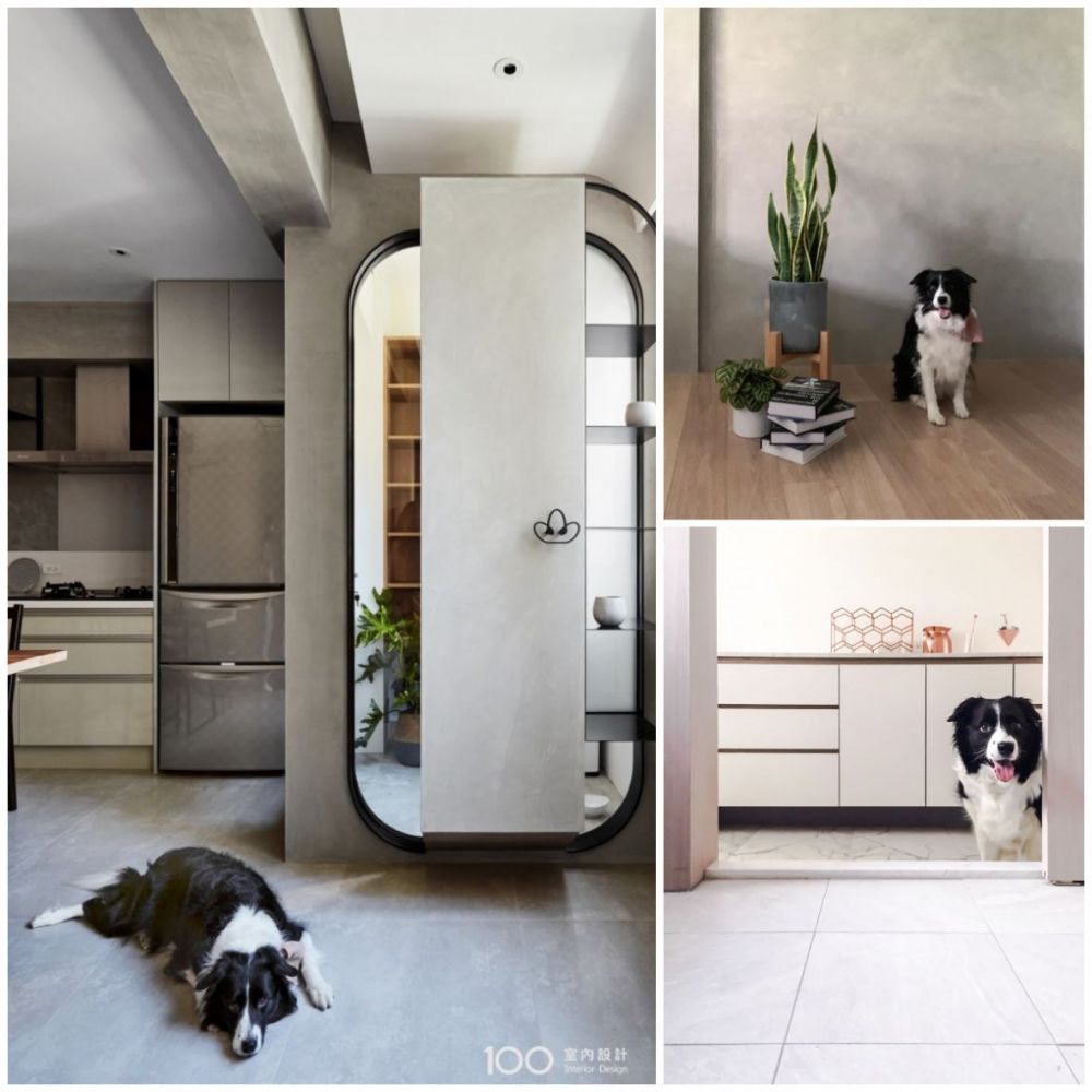 ▲100站上閏年設計的每個案子幾乎都可以看到這隻狗的身影,這既不是屋主的狗,也不是請來拍片的麻豆,而是閏年設計總監本尊。