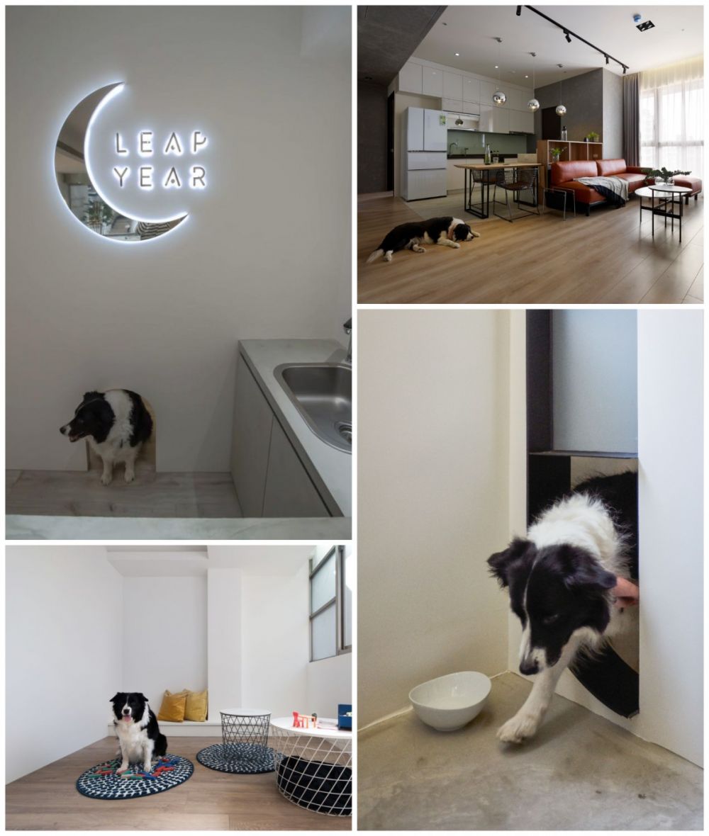 ▲寵物指甲容易刮花地板,磁磚地又會容易讓牠們有骨骼問題,貓狗也會有在地上尿尿或嘔吐的情況,閏年在設計時會特別注意這方面的細節,在地坪、選材上作選擇。