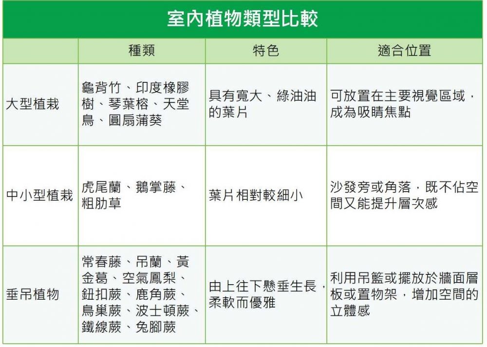 室內植物類型比較