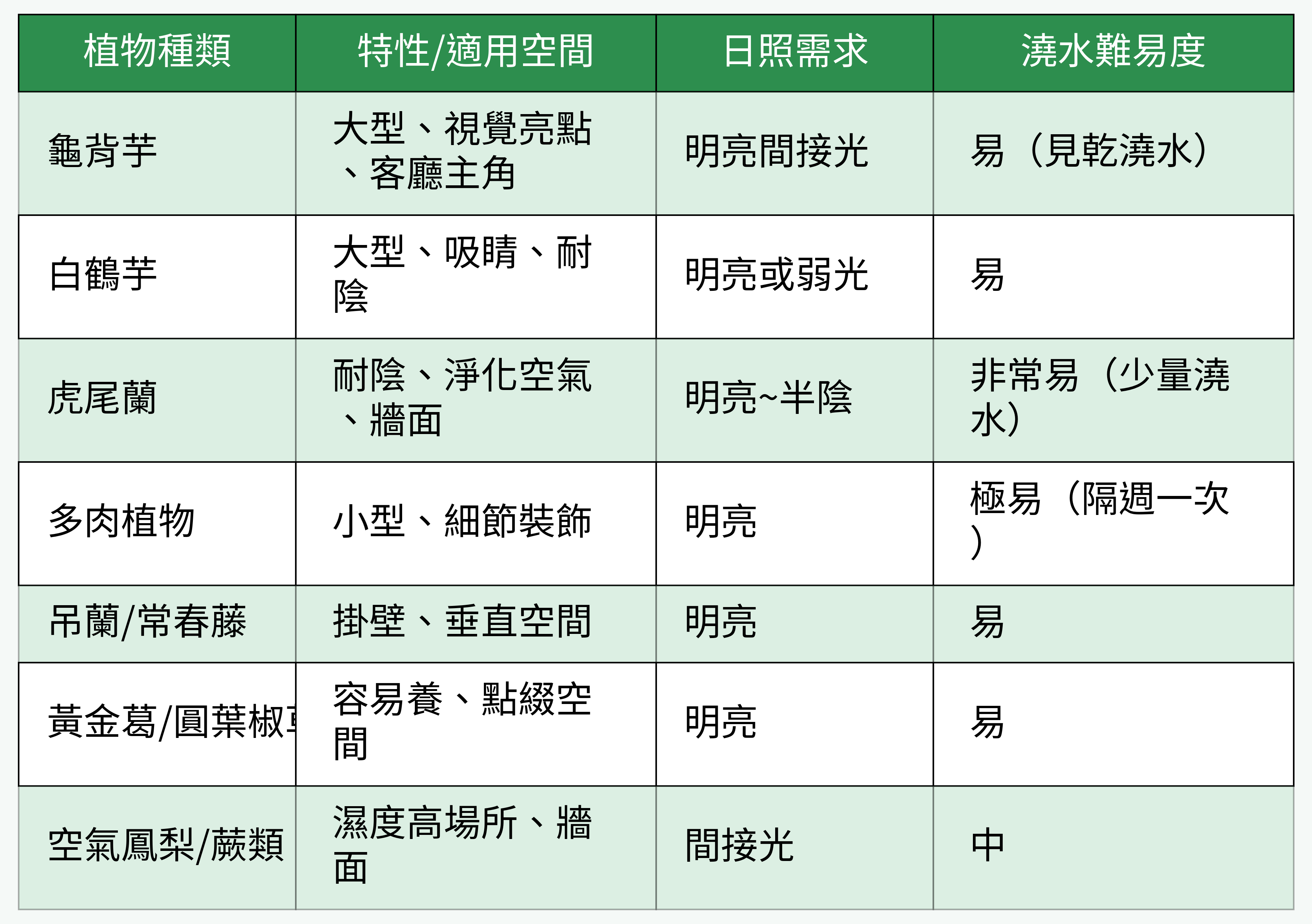 室內常見牆面植物對比表