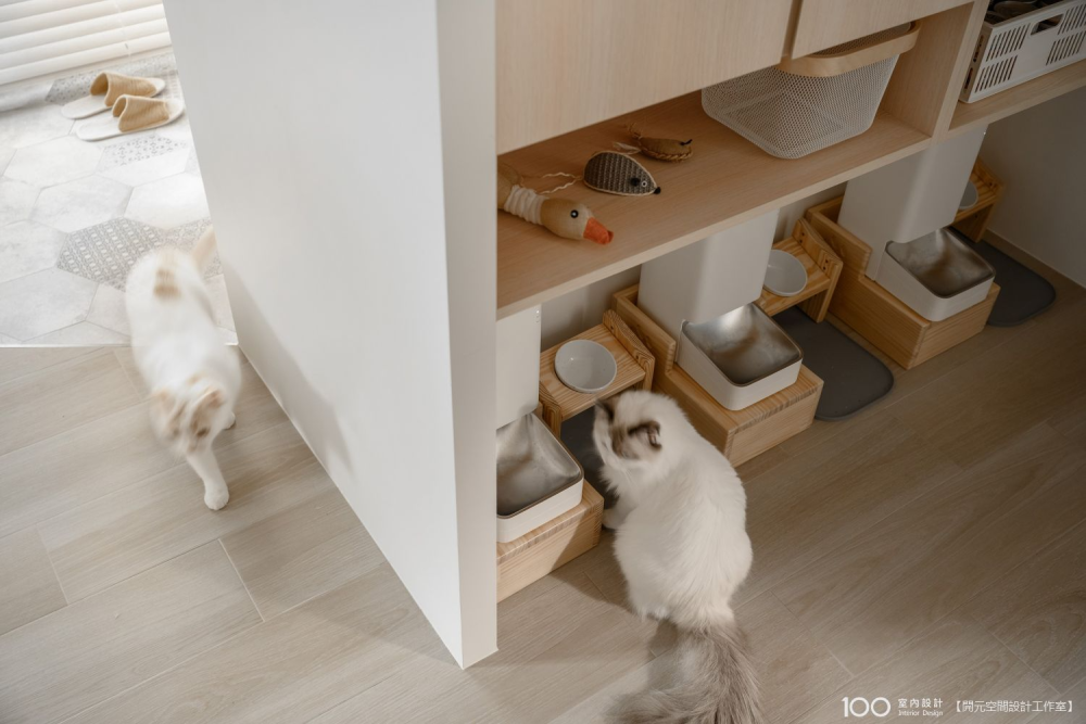 陽台改造 DIY 全攻略：重點、費用、注意事項、植栽選擇一次搞懂