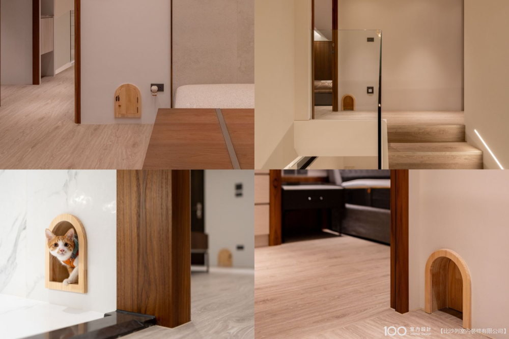 把貓當家人：揭開貓奴夢想中的共生宅，讓每個角落都適合牠的步伐。