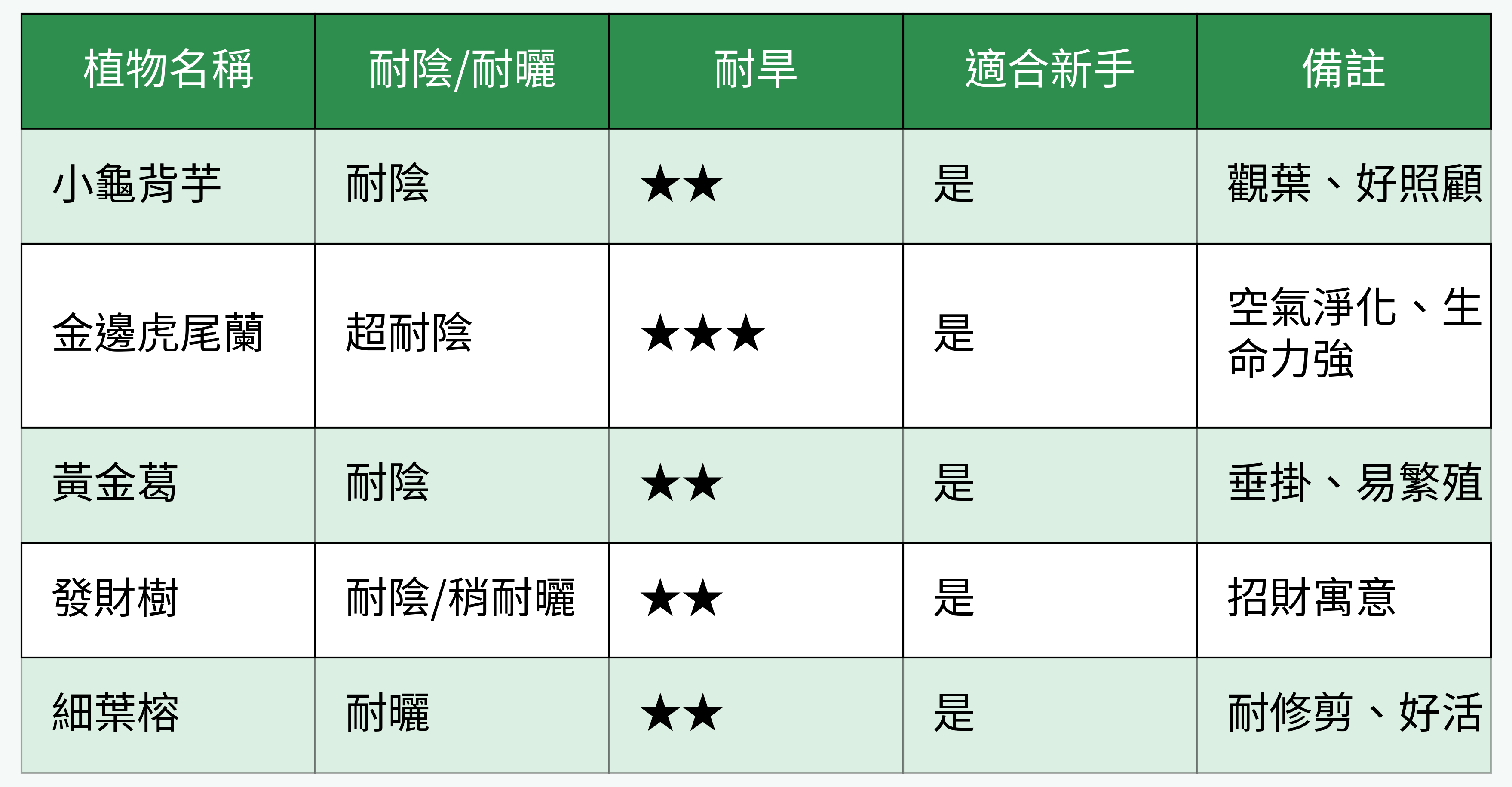 陽台新手植物耐性表格