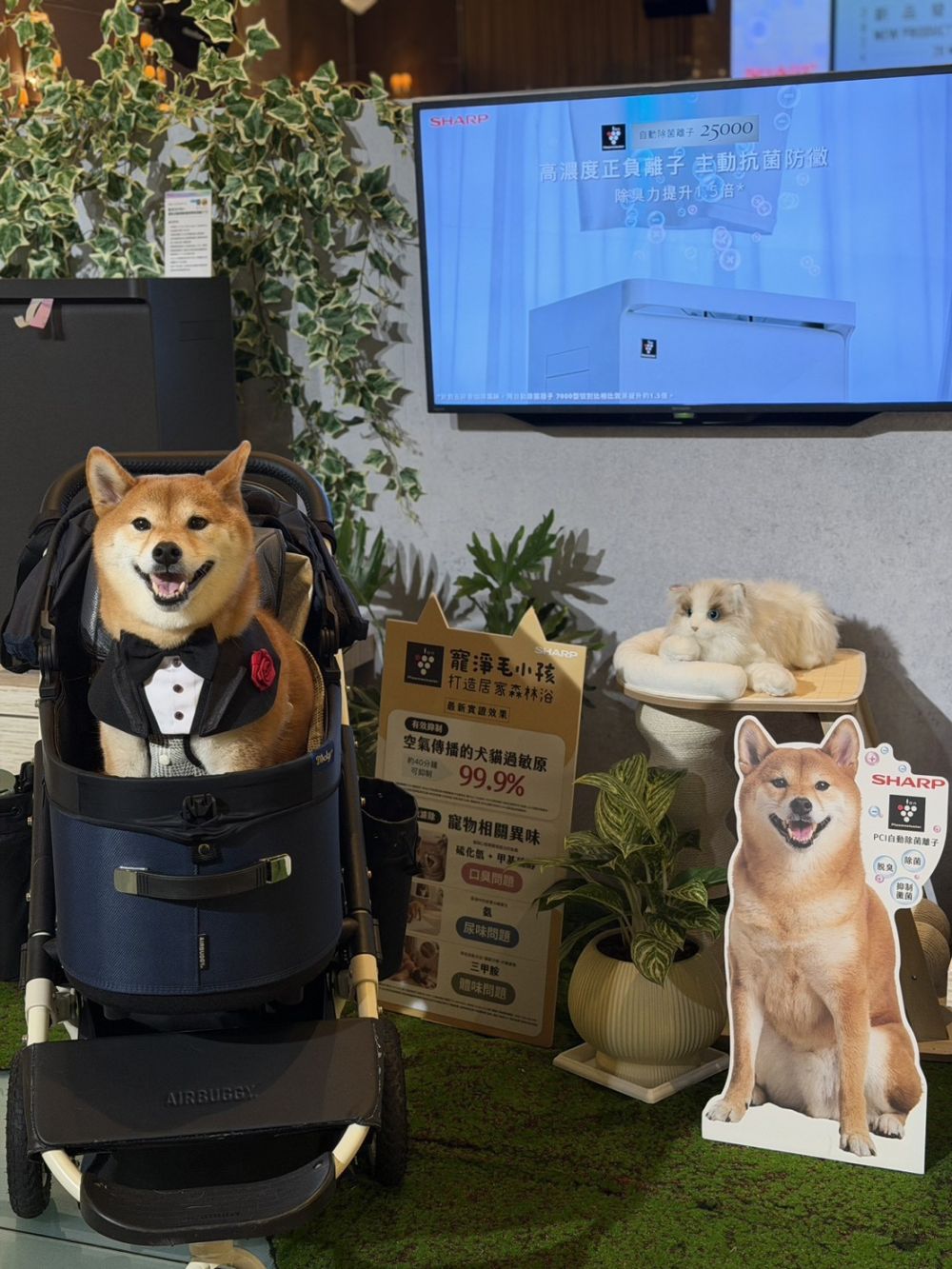 一秒把日本質感生活搬回家!台灣夏普 2026 新品齊發,一次滿足你對未來生活的想像