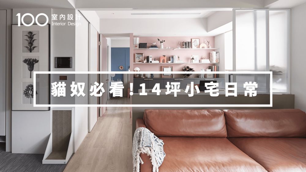 【寵物宅】 鏟屎官與貓孩的14坪色彩小窩|100室內設計