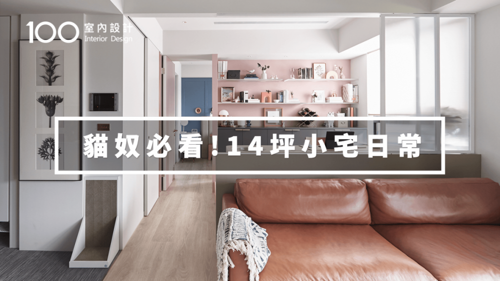 【寵物宅】 鏟屎官與貓孩的14坪色彩小窩|100室內設計