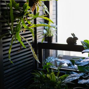 洄 現代風 新成屋