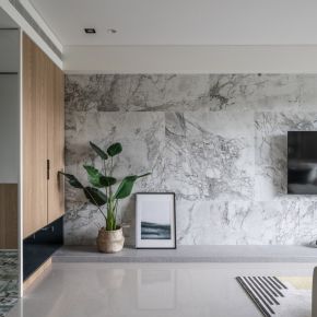 TN14-Monstera 現代風 新成屋
