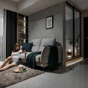 桃園 L House 北歐風 新成屋