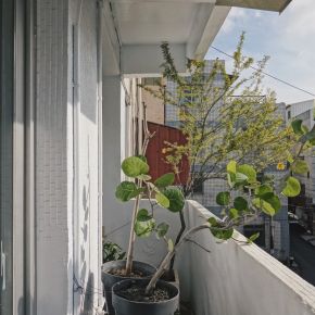 House TM 日式風 老屋翻新