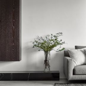 悠然Leisurely 現代風 新成屋