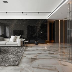 頂層奢華 Penthouse 現代風 新成屋
