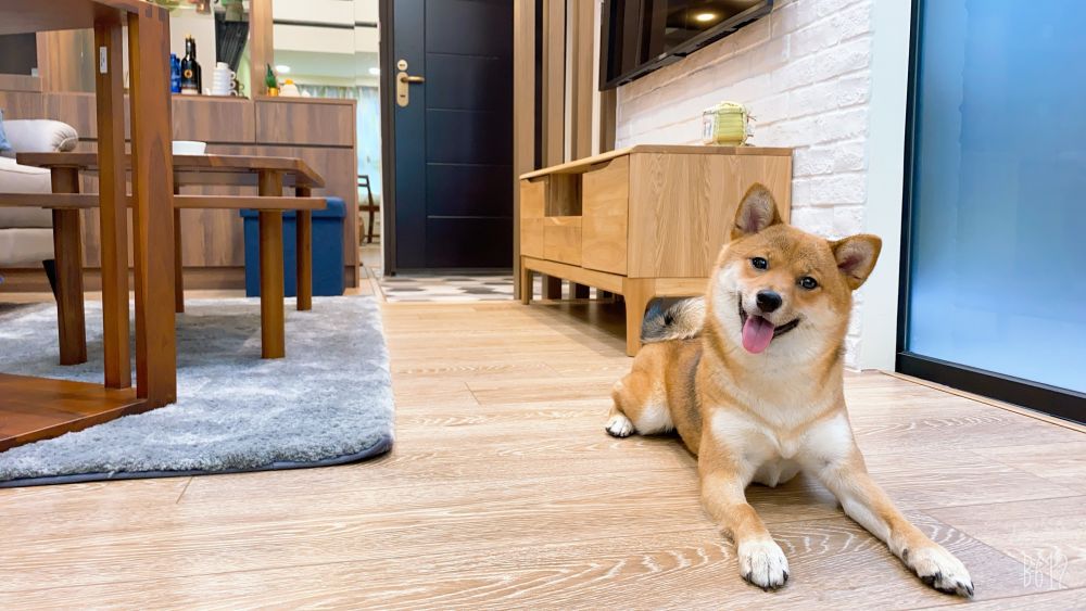 簡約質感 13坪兩房