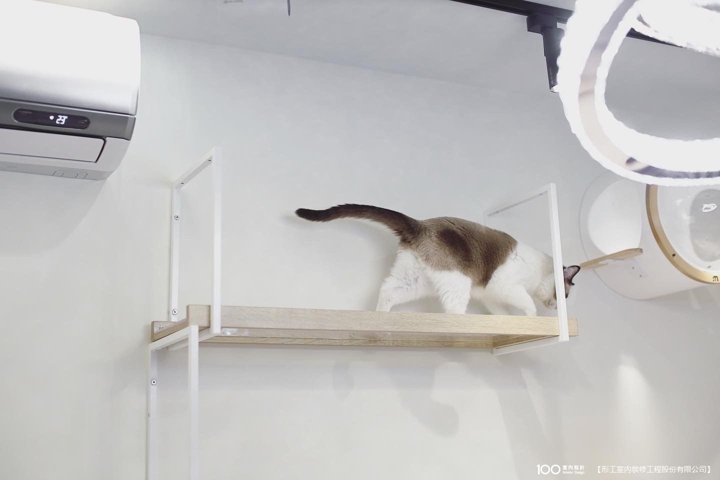 客廳