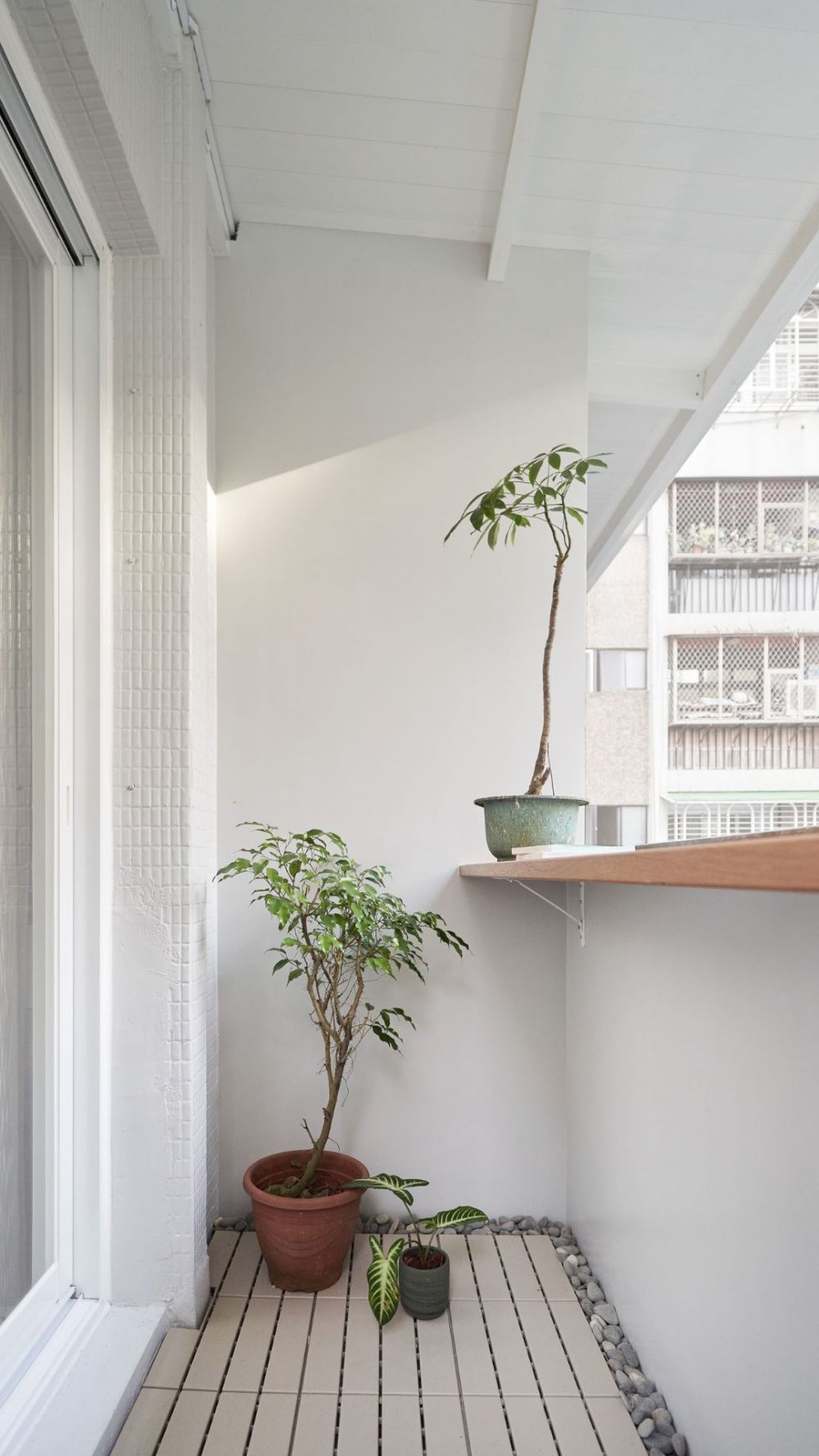 「柔」與「韌」的交融