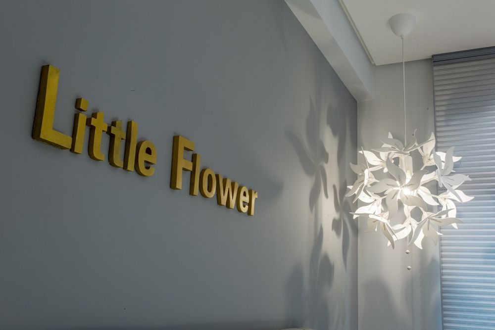 小花朵的。B612星球 A FANTASY PLANET OF LITTLE FLOWER