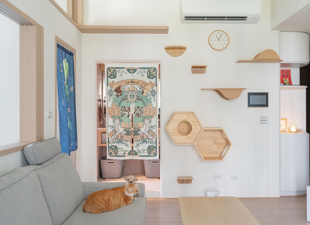 貓咪與人共生的家