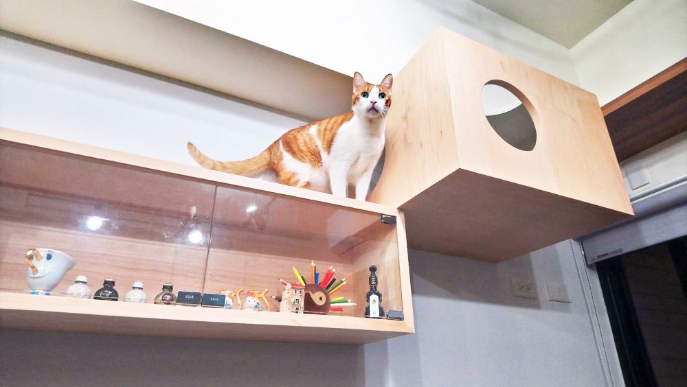 無域設計 作品預覽