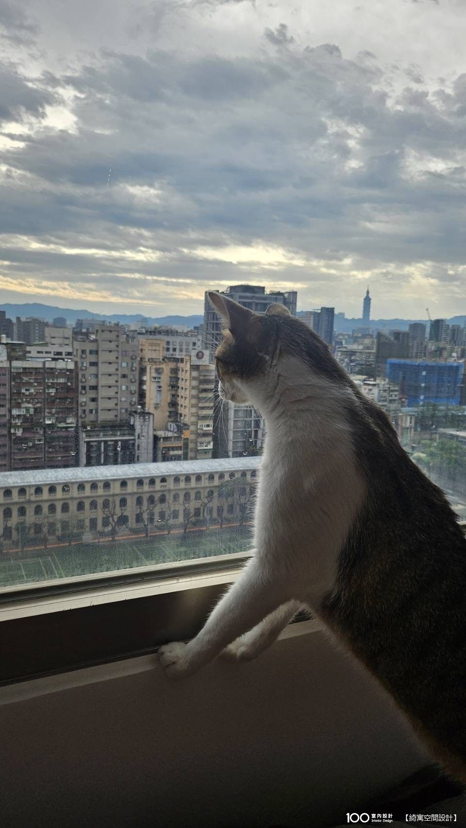 客廳