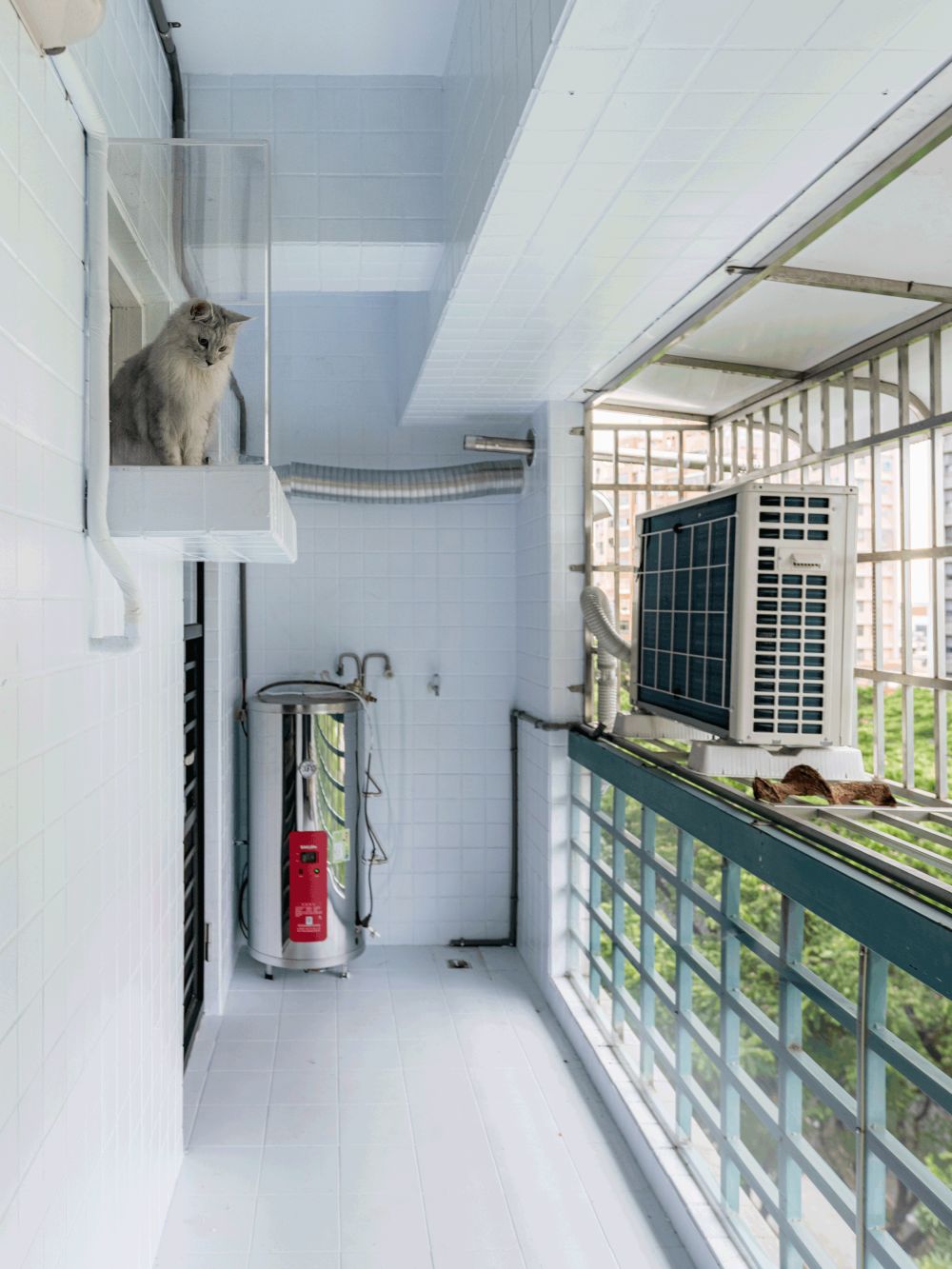 森林裡的貓│老屋翻修