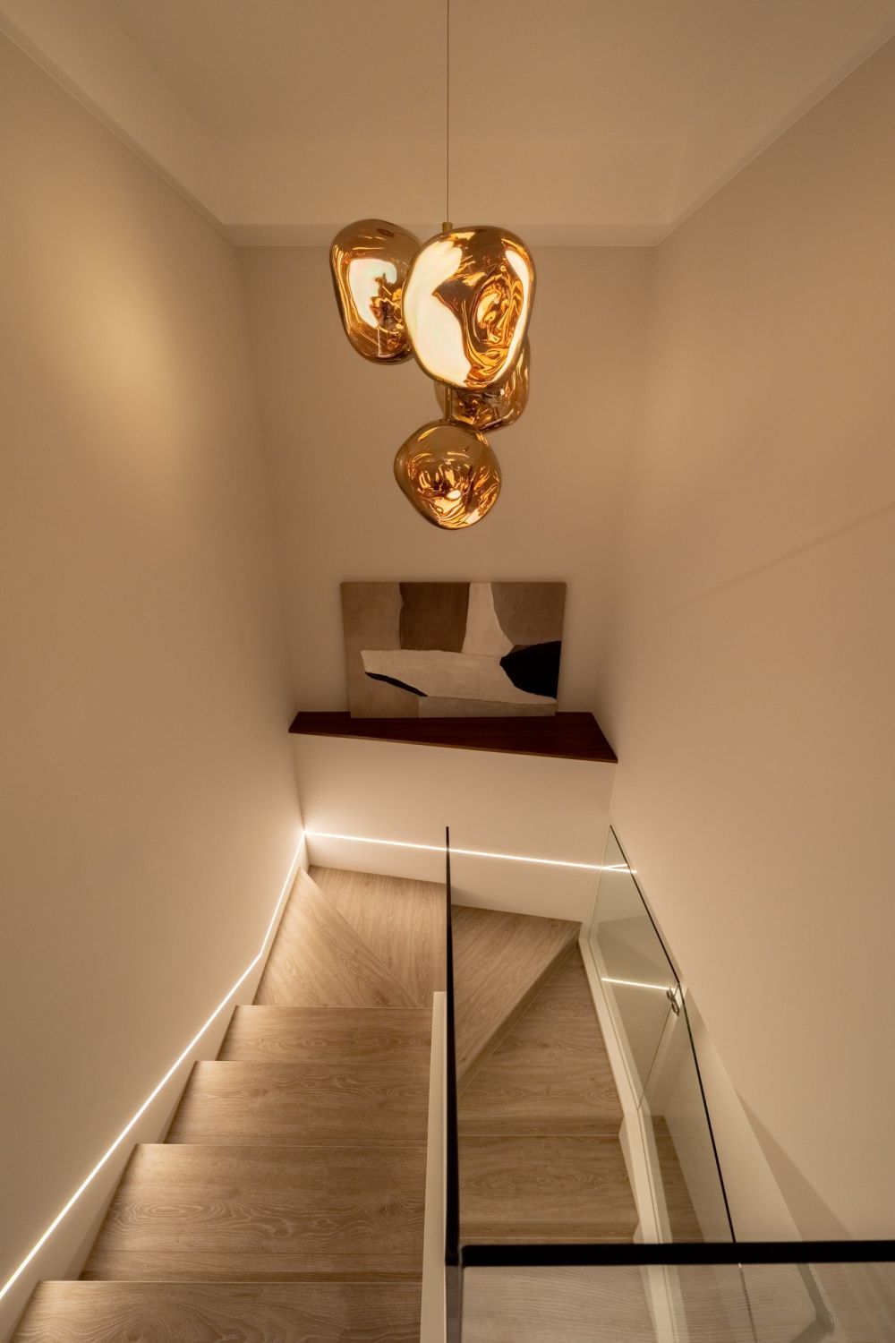 為貓而生的家：打造人貓共融