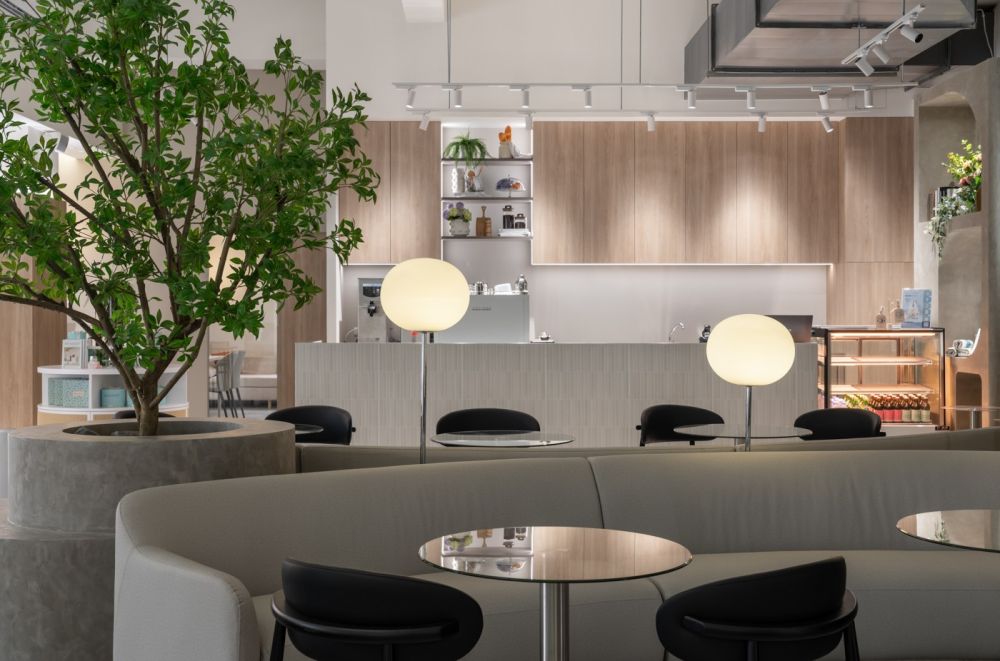 The Soft Zone | 柔光場域