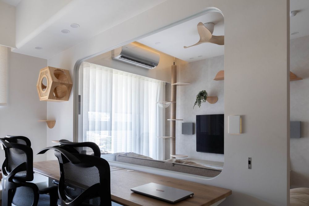 沐暖陽的貓菓子