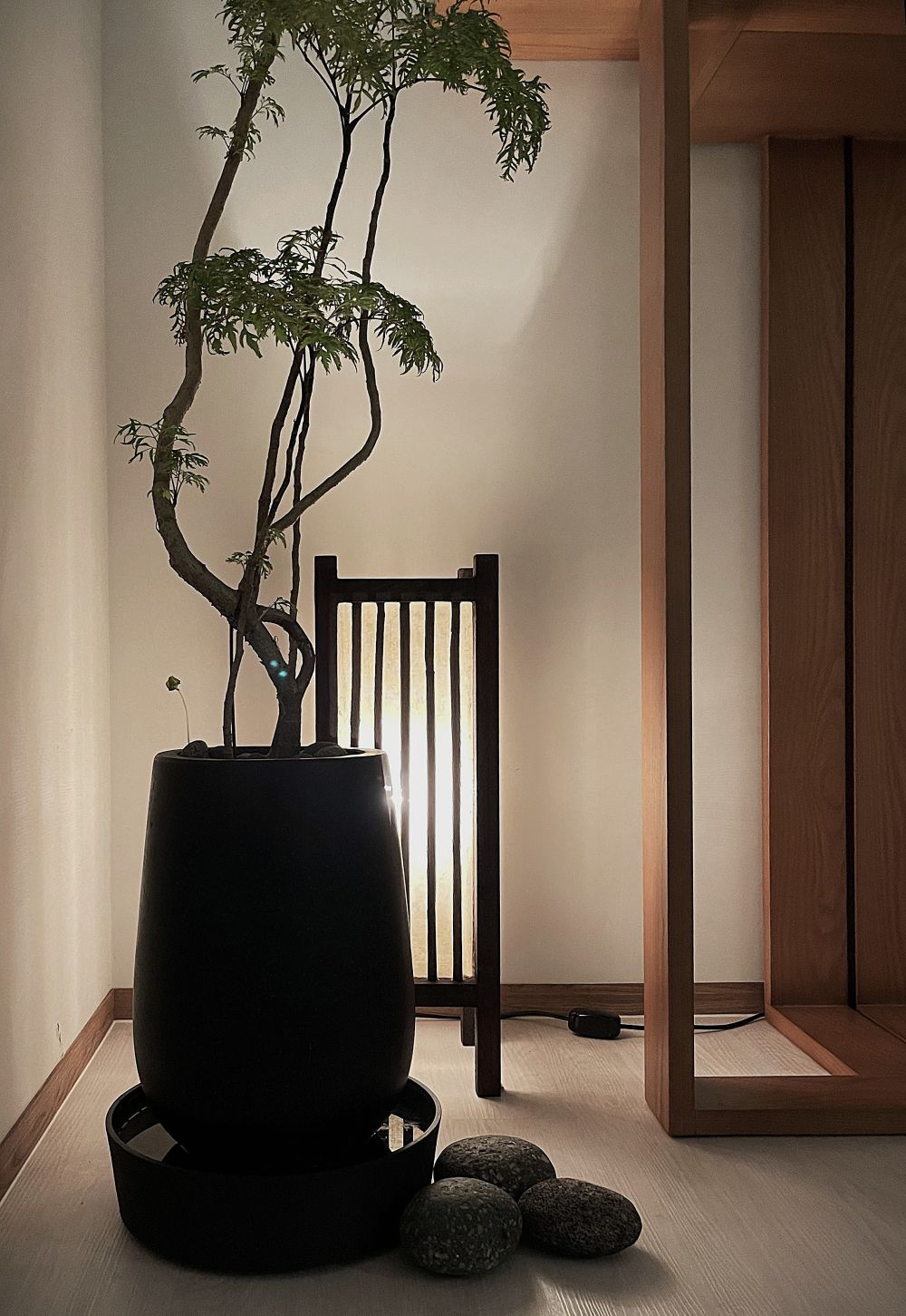 京兆隱