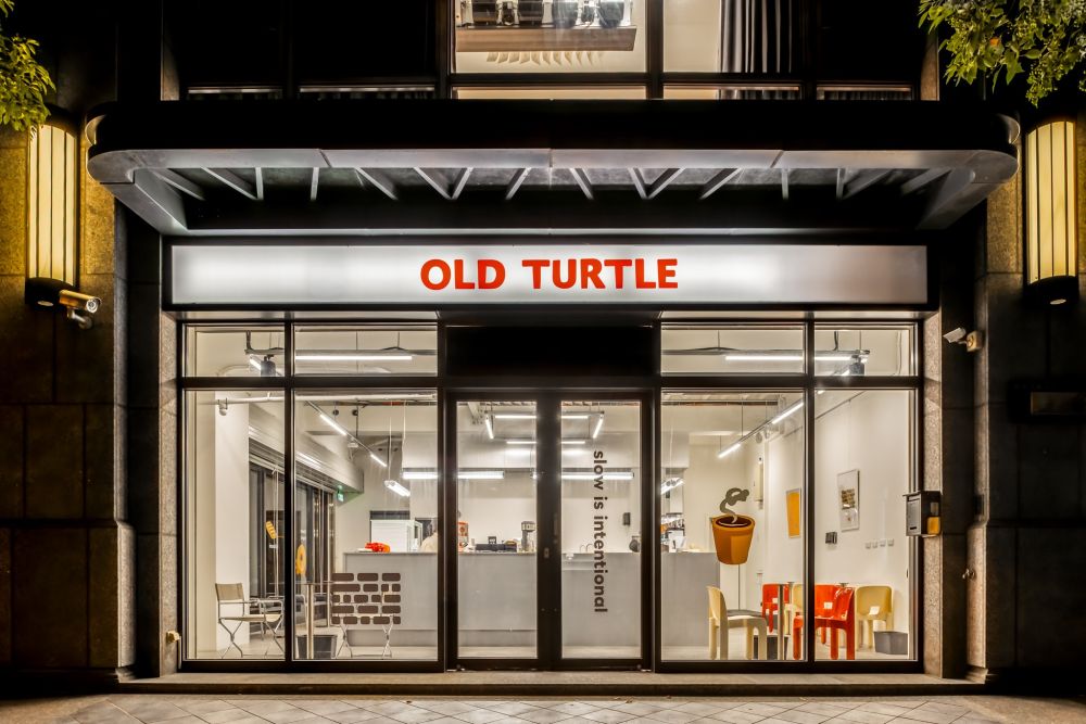 old turtle