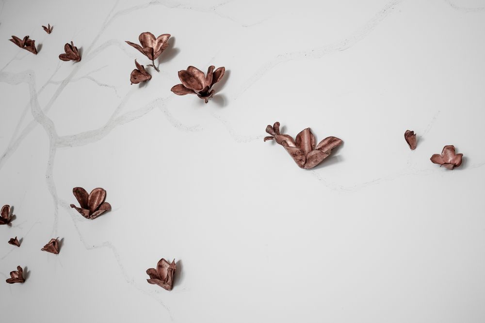 木蘭 Lily Magnolia